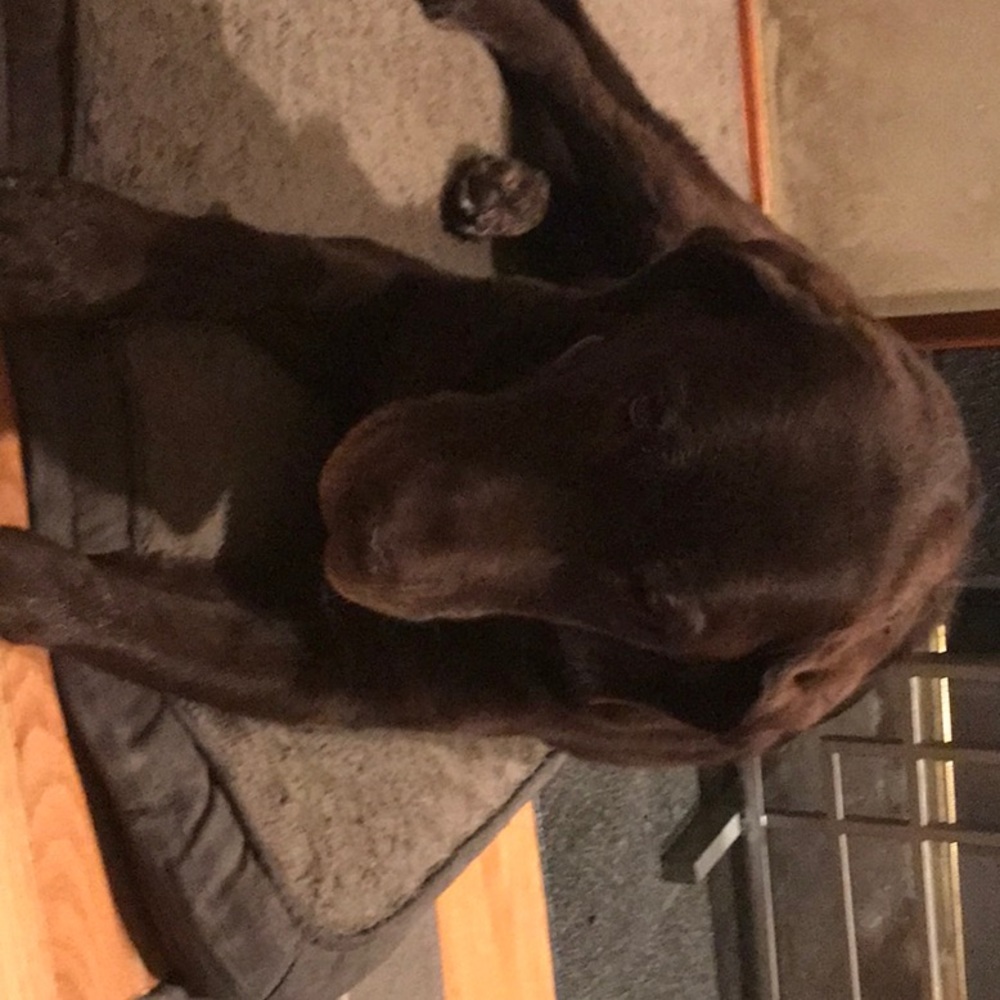 Meet your Posher, Ted